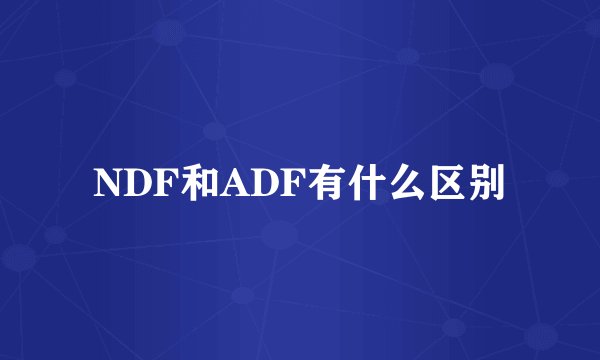 NDF和ADF有什么区别