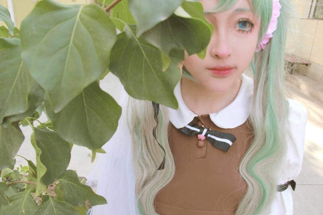 初音未来从头到尾都是喵喵喵的是什么歌？