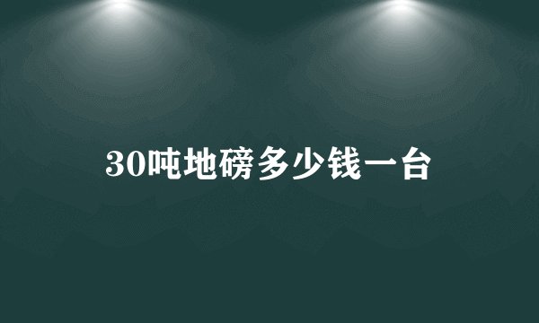 30吨地磅多少钱一台