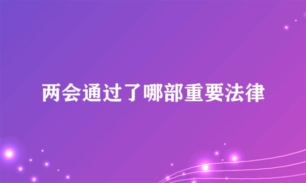 两会通过了哪部重要法律