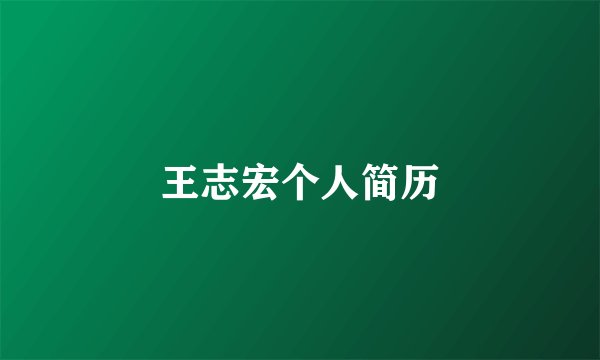 王志宏个人简历
