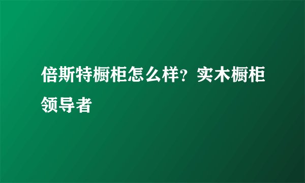 倍斯特橱柜怎么样?实木橱柜领导者