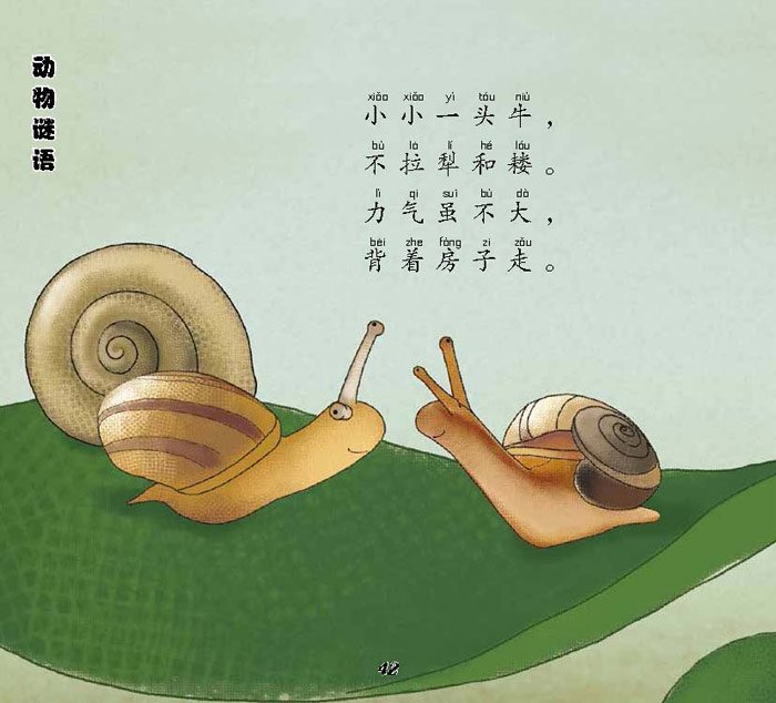 儿童谜语，带答案的，5到6岁。