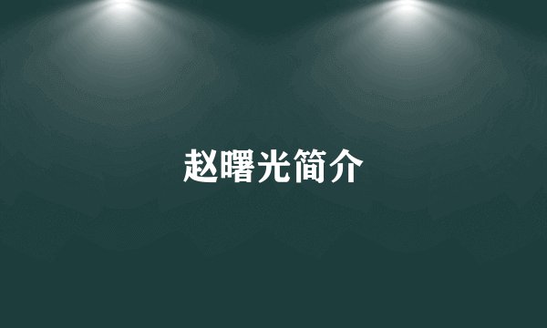 赵曙光简介