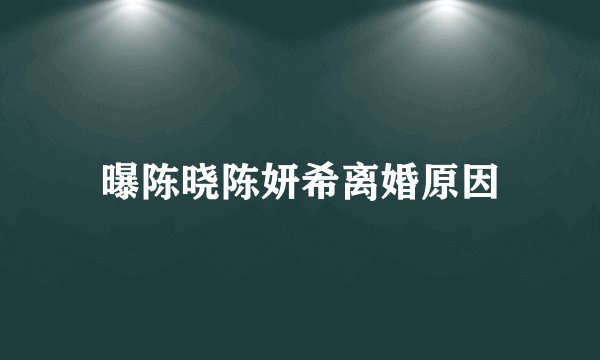 曝陈晓陈妍希离婚原因
