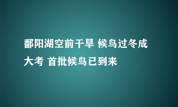 鄱阳湖空前干旱 候鸟过冬成大考 首批候鸟已到来