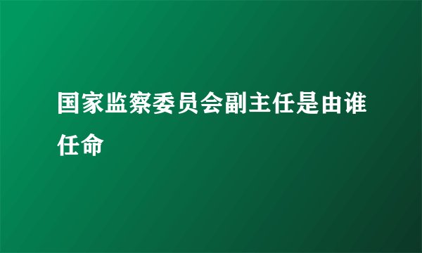 国家监察委员会副主任是由谁任命