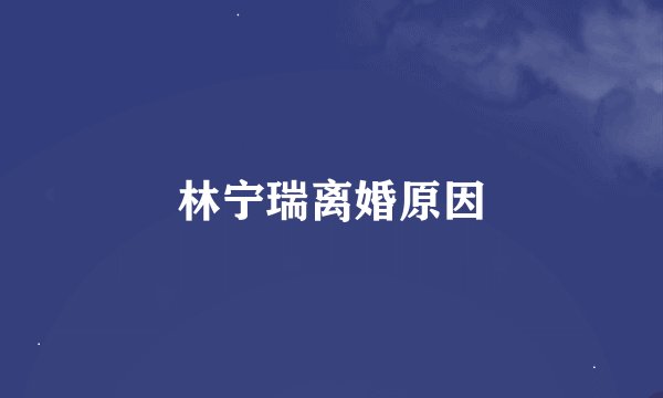 林宁瑞离婚原因