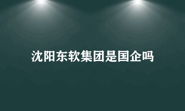 沈阳东软集团是国企吗