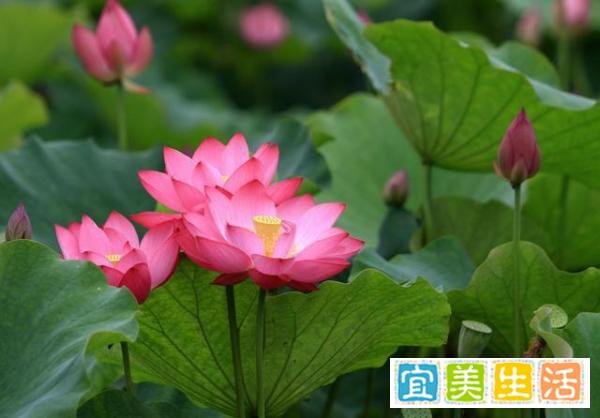 真正的聪明人，都会“留一手”