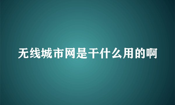 无线城市网是干什么用的啊