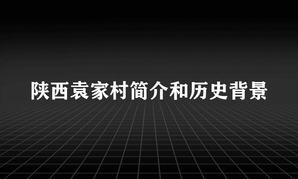 陕西袁家村简介和历史背景