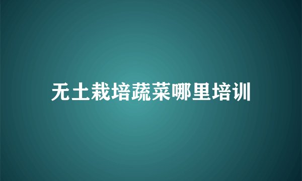 无土栽培蔬菜哪里培训