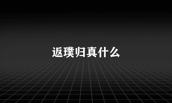 返璞归真什么