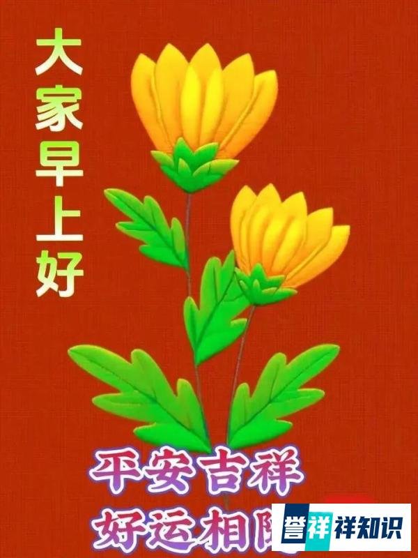 早上好祝福创意表情包图片带字带问候语，今日最新早上好问候语精