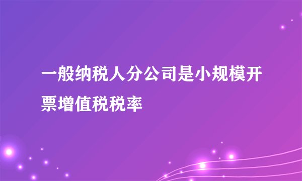 一般纳税人分公司是小规模开票增值税税率