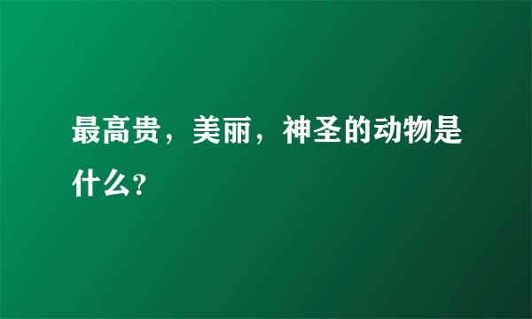 最高贵，美丽，神圣的动物是什么？