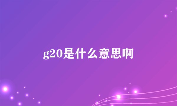 g20是什么意思啊