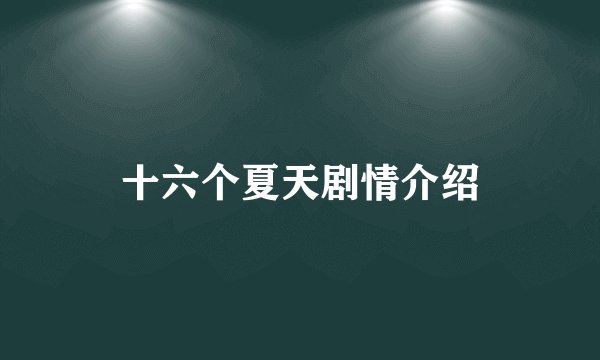 十六个夏天剧情介绍