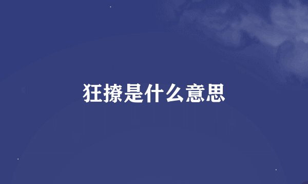 狂撩是什么意思