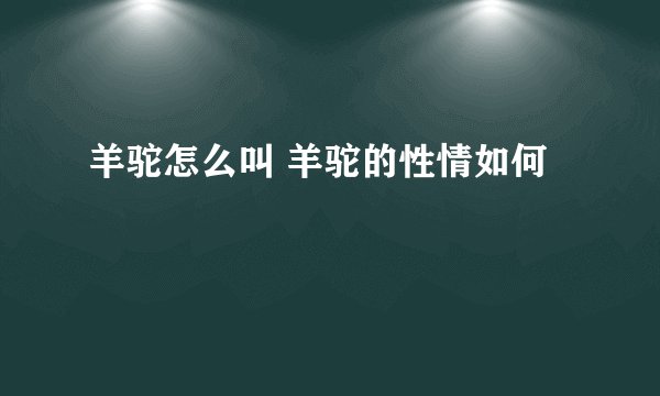 羊驼怎么叫 羊驼的性情如何