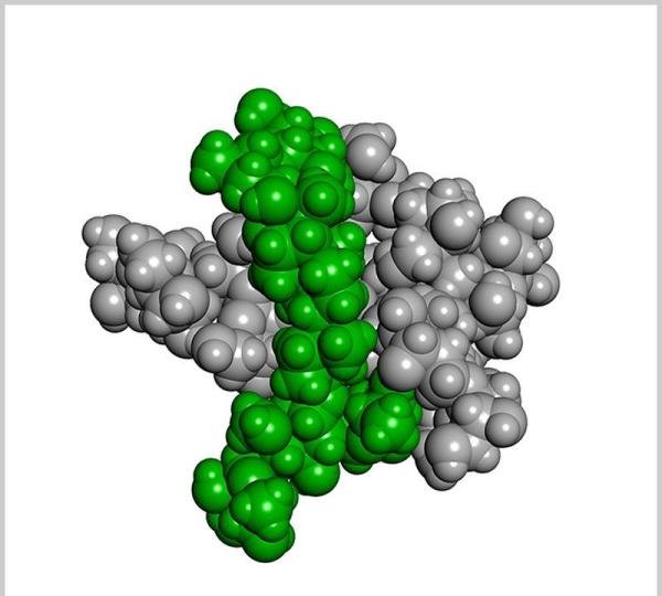 分子动力学