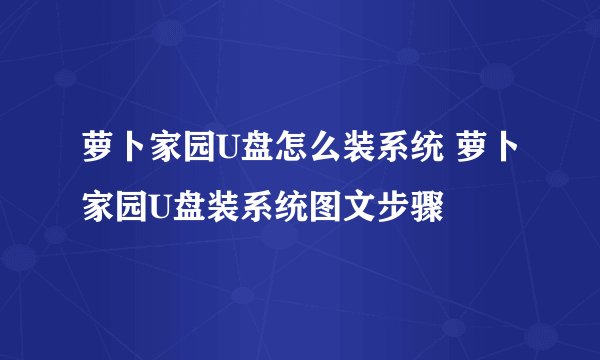 萝卜家园U盘怎么装系统 萝卜家园U盘装系统图文步骤
