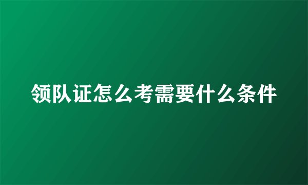 领队证怎么考需要什么条件