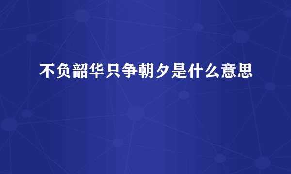 不负韶华只争朝夕是什么意思