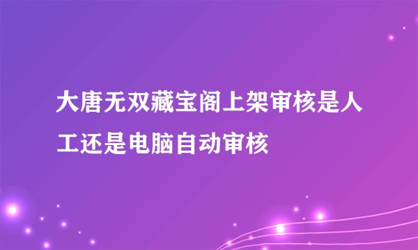 大唐无双藏宝阁上架审核是人工还是电脑自动审核