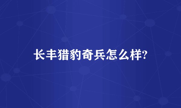 长丰猎豹奇兵怎么样?