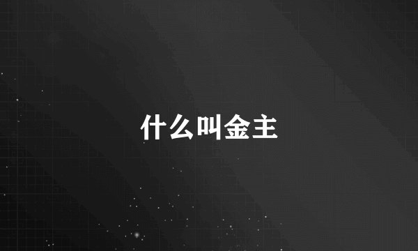 什么叫金主