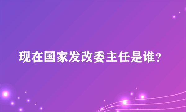 现在国家发改委主任是谁？