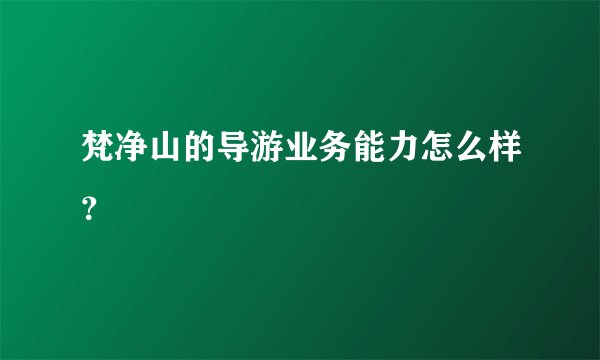 梵净山的导游业务能力怎么样?