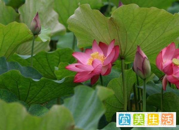 真正的聪明人，都会“留一手”