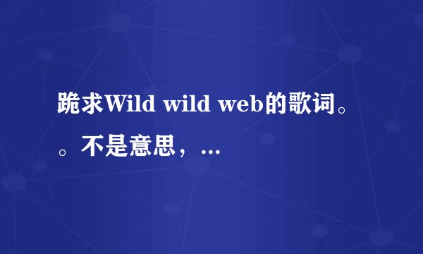 跪求Wild wild web的歌词。。不是意思，是歌词喔