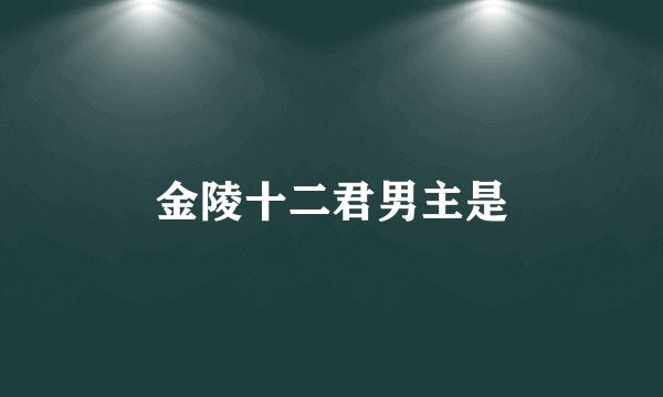 金陵十二君男主是