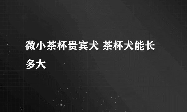 微小茶杯贵宾犬 茶杯犬能长多大