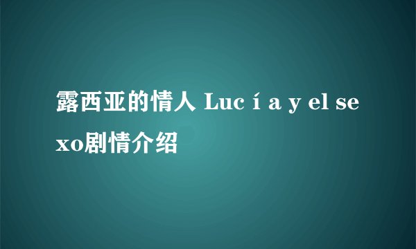 露西亚的情人 Lucía y el sexo剧情介绍