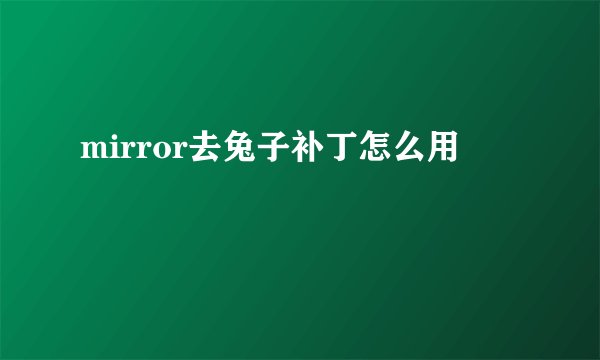 mirror去兔子补丁怎么用