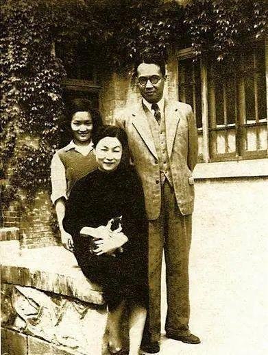 他们也曾为猫痴,为猫狂,为猫哐哐“撞大墙”!