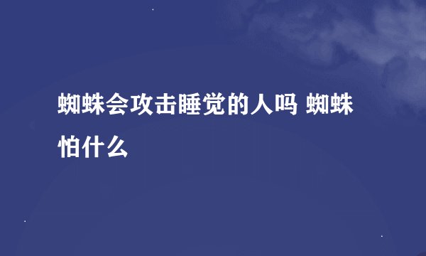 蜘蛛会攻击睡觉的人吗 蜘蛛怕什么