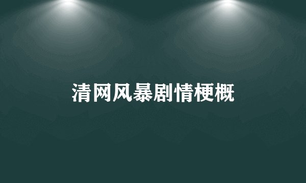 清网风暴剧情梗概
