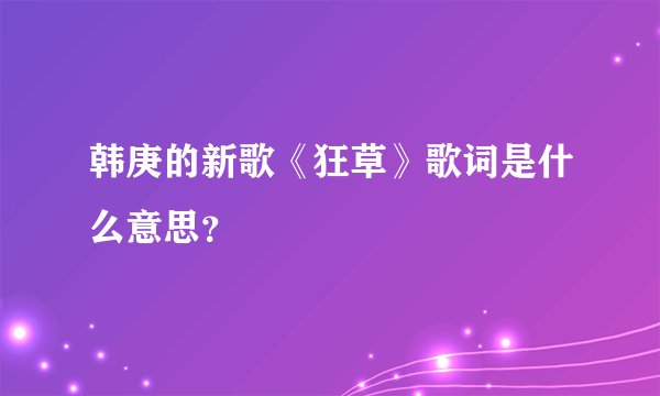 韩庚的新歌《狂草》歌词是什么意思？