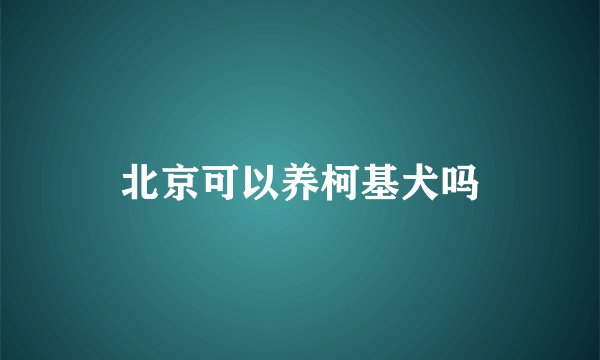 北京可以养柯基犬吗