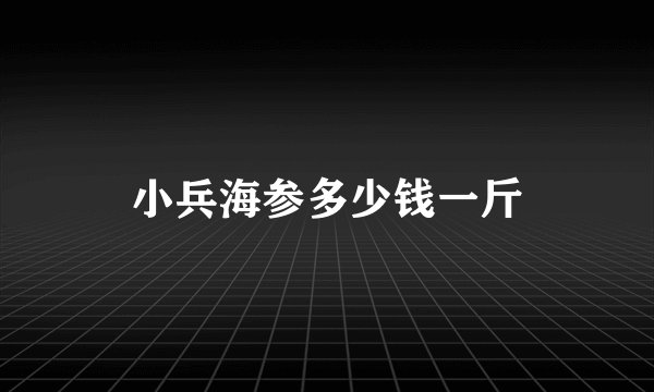 小兵海参多少钱一斤