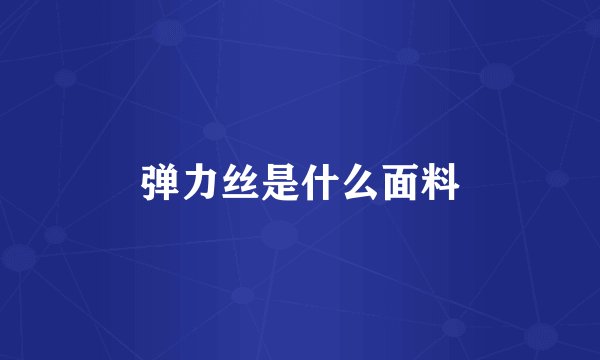 弹力丝是什么面料