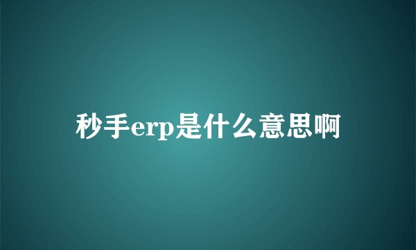 秒手erp是什么意思啊
