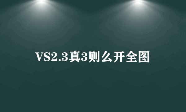 VS2.3真3则么开全图