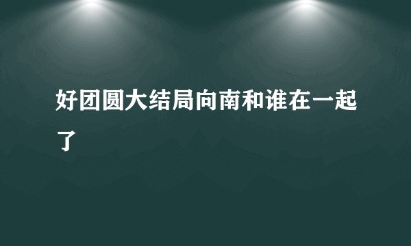 好团圆大结局向南和谁在一起了